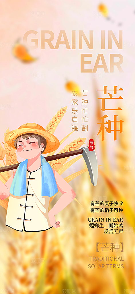 传统芒种二十四节气海报