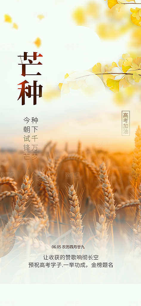 传统芒种二十四节气海报