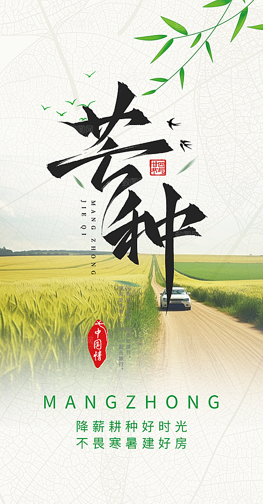 传统芒种二十四节气海报