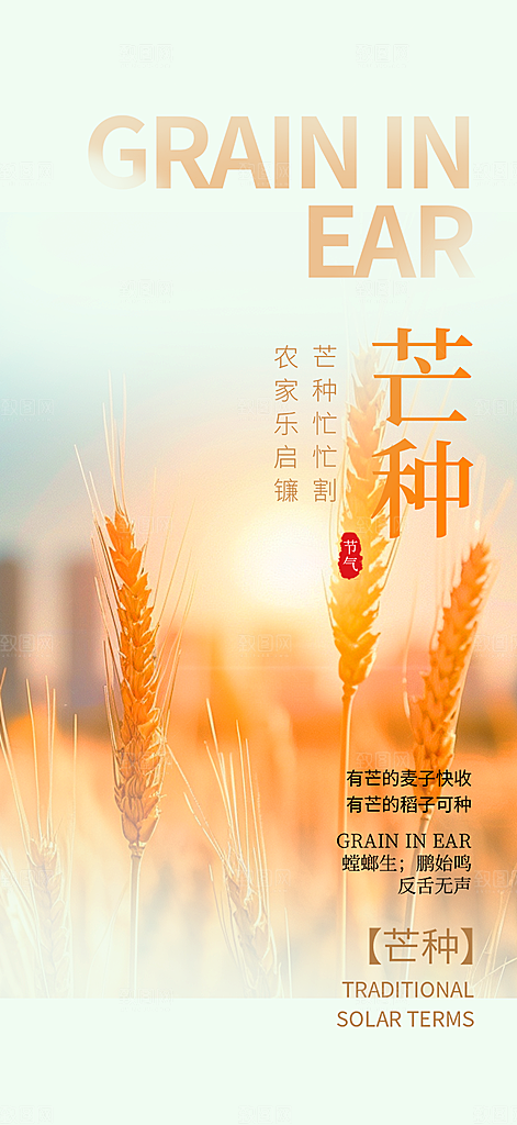 传统芒种二十四节气海报