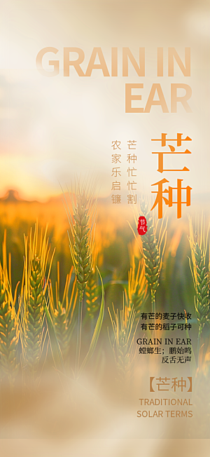 传统芒种二十四节气海报