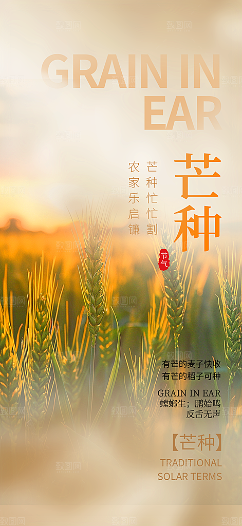 传统芒种二十四节气海报