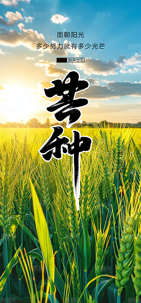传统芒种二十四节气海报
