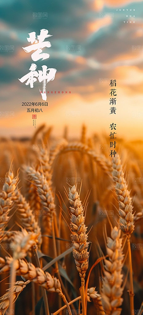 大气传统芒种二十四节气海报