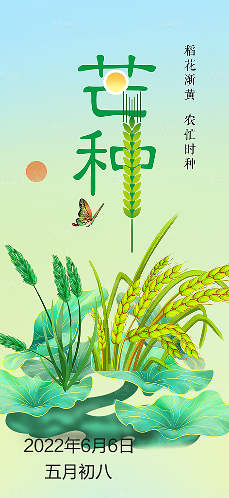 大气传统芒种二十四节气海报