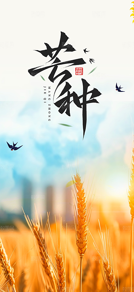 大气传统芒种二十四节气海报