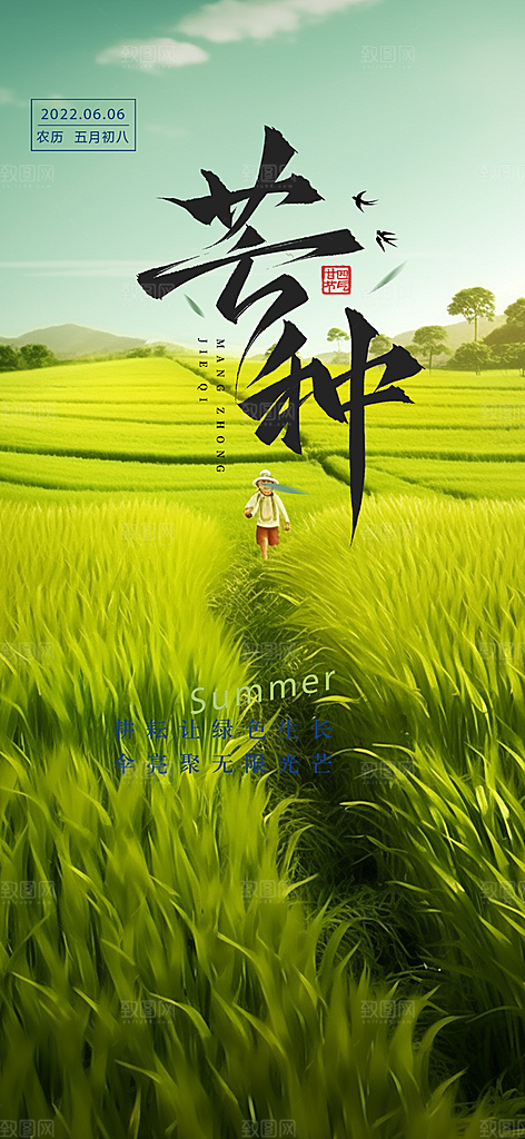大气传统芒种二十四节气海报