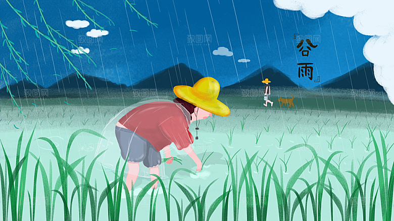谷雨节气简约大气插画海报