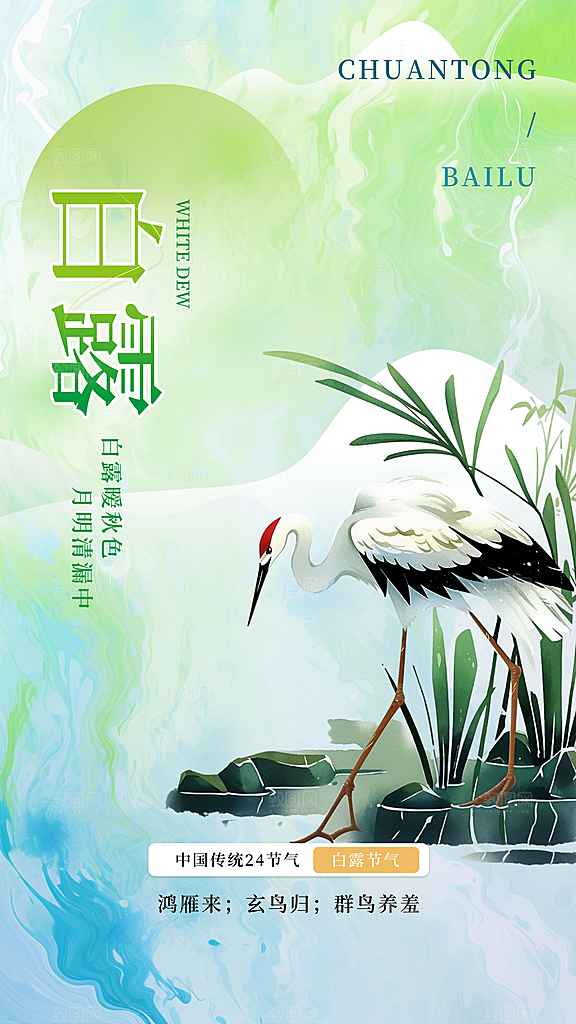 白露节气简约大气海报
