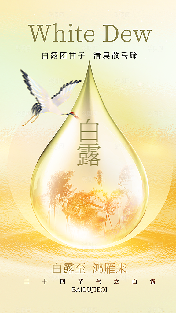 白露节气简约大气海报