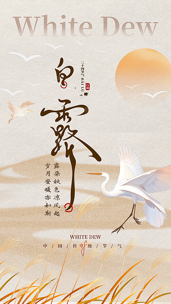 白露节气简约大气海报
