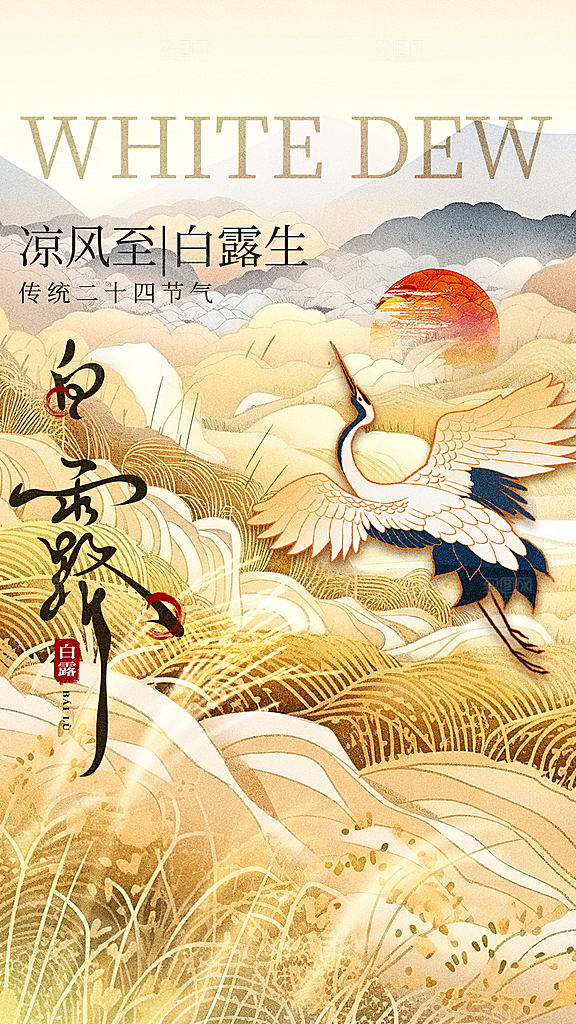 白露节气简约大气海报