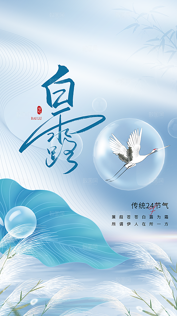 白露节气简约大气海报