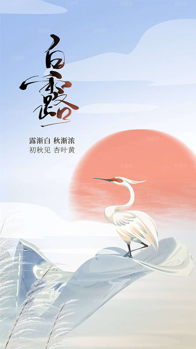 白露节气简约大气海报