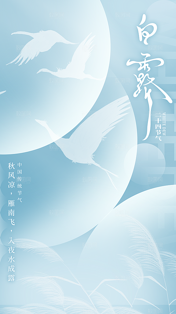 传统节气白露海报模板
