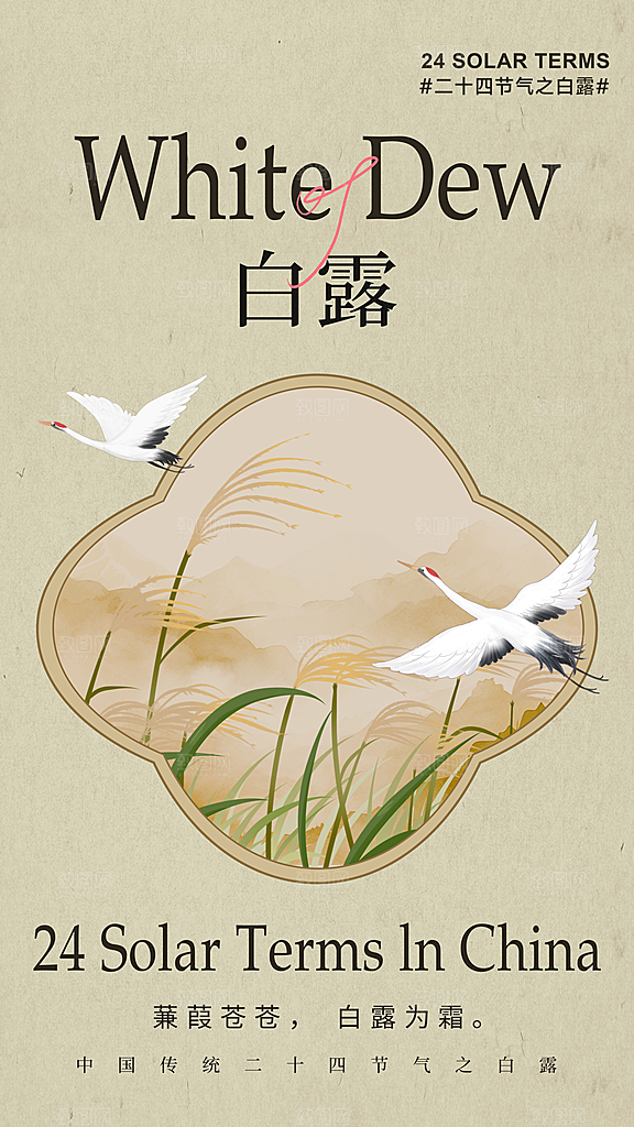 传统节气白露海报模板