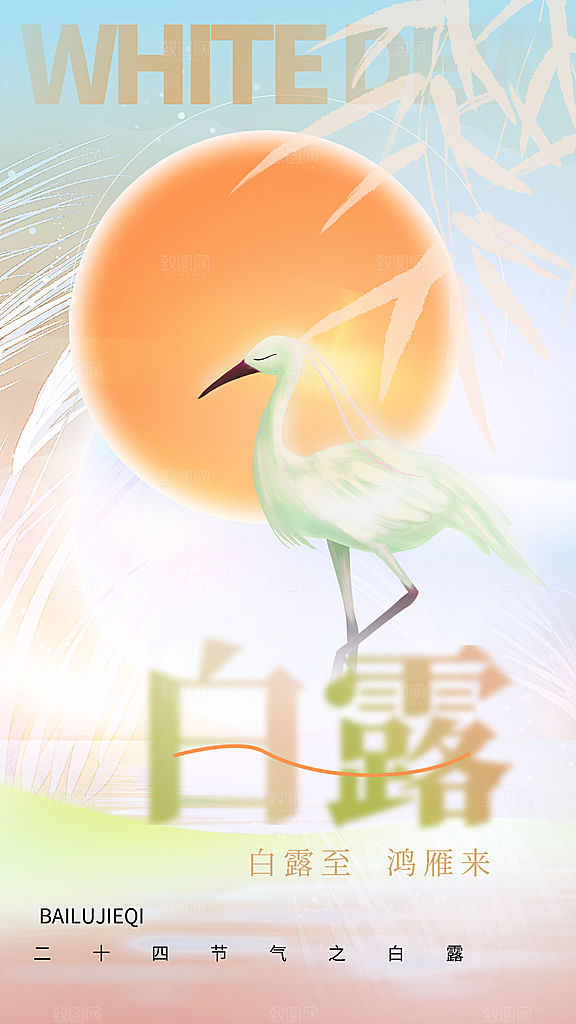 传统节气白露海报模板