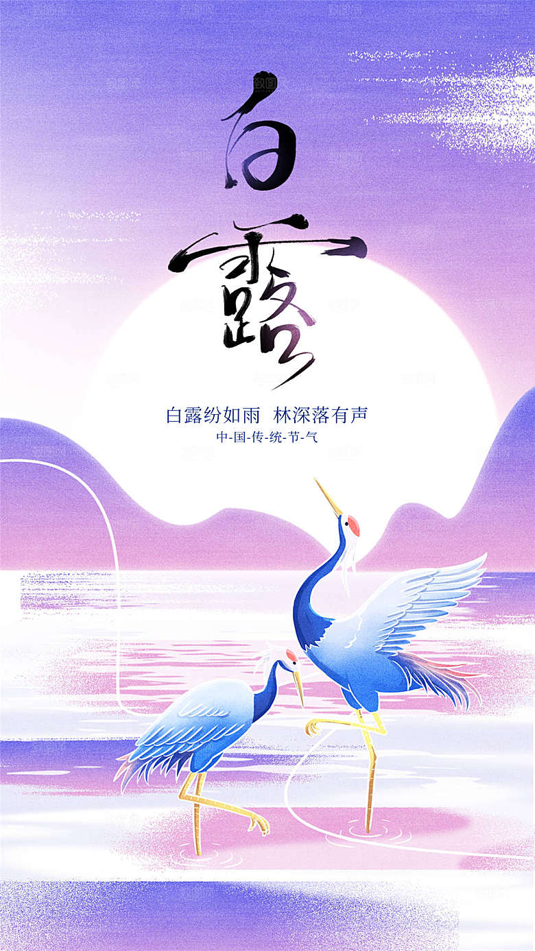 白露节气简约大气海报