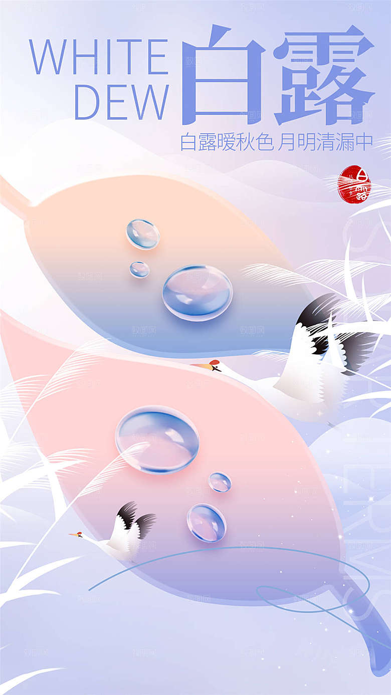 白露节气简约大气海报