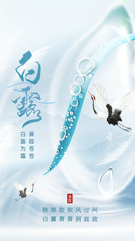 传统节气白露海报模板
