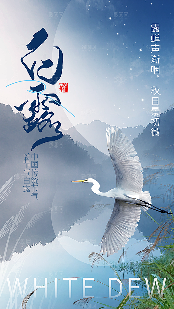 传统节气白露海报模板