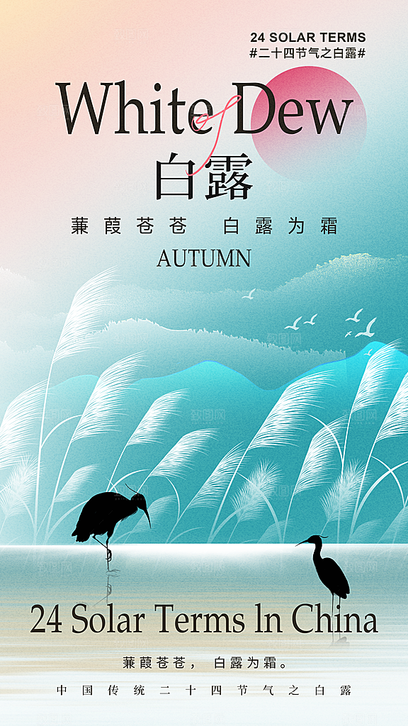 传统节气白露海报模板