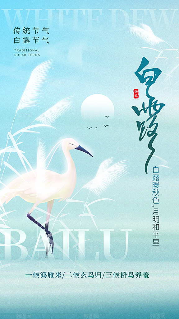 传统节气白露海报模板