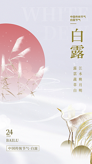 白露节气简约大气海报