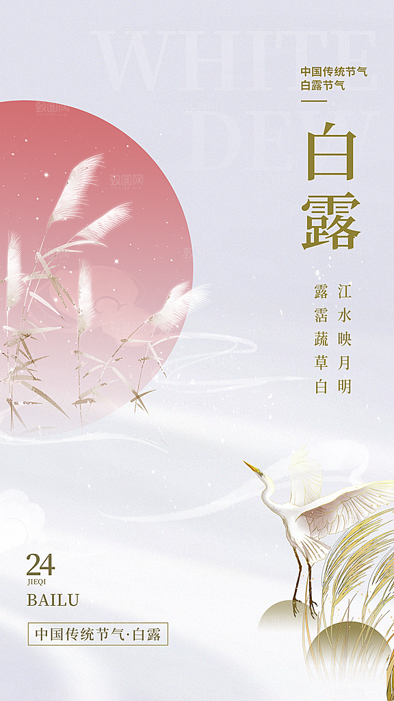 白露节气简约大气海报