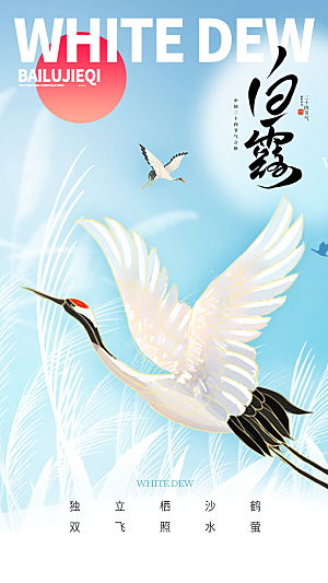 白露节气简约大气海报