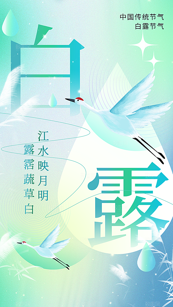 白露节气简约大气海报