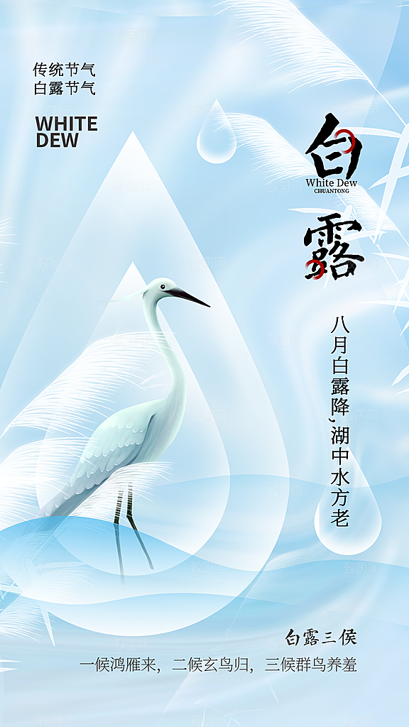 白露节气简约大气海报