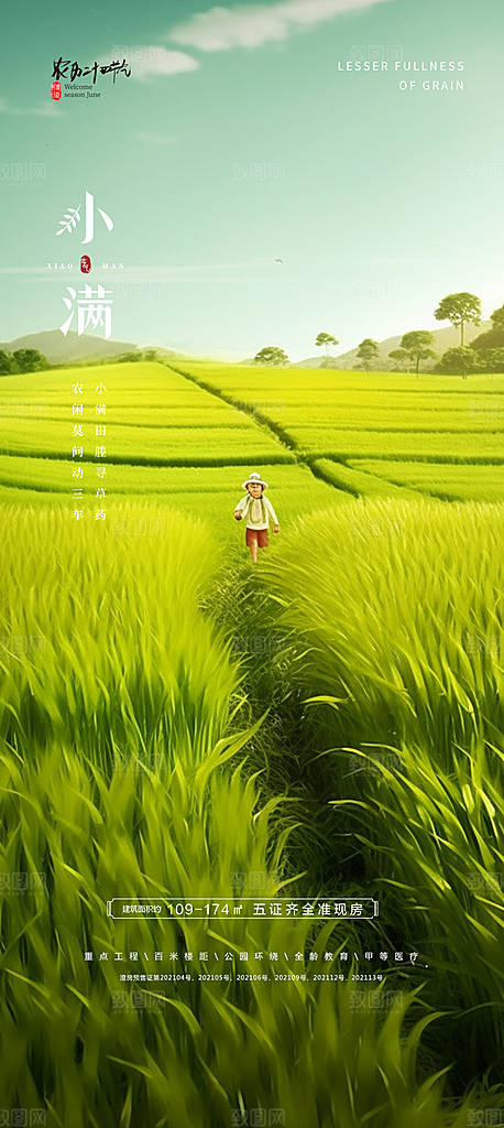 传统小满二十四节气海报