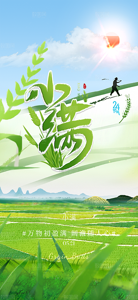 传统小满二十四节气海报