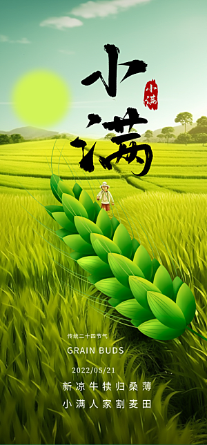 传统小满二十四节气海报