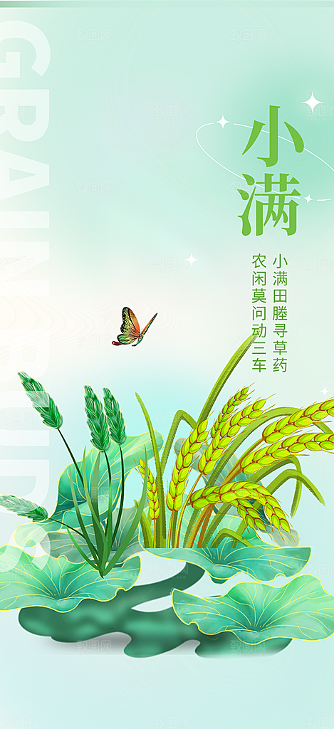 传统小满二十四节气海报