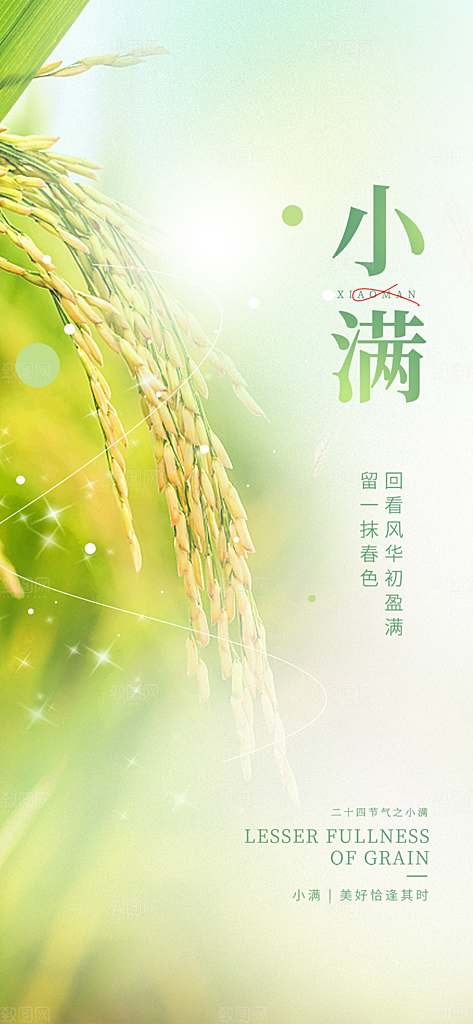 传统小满二十四节气海报