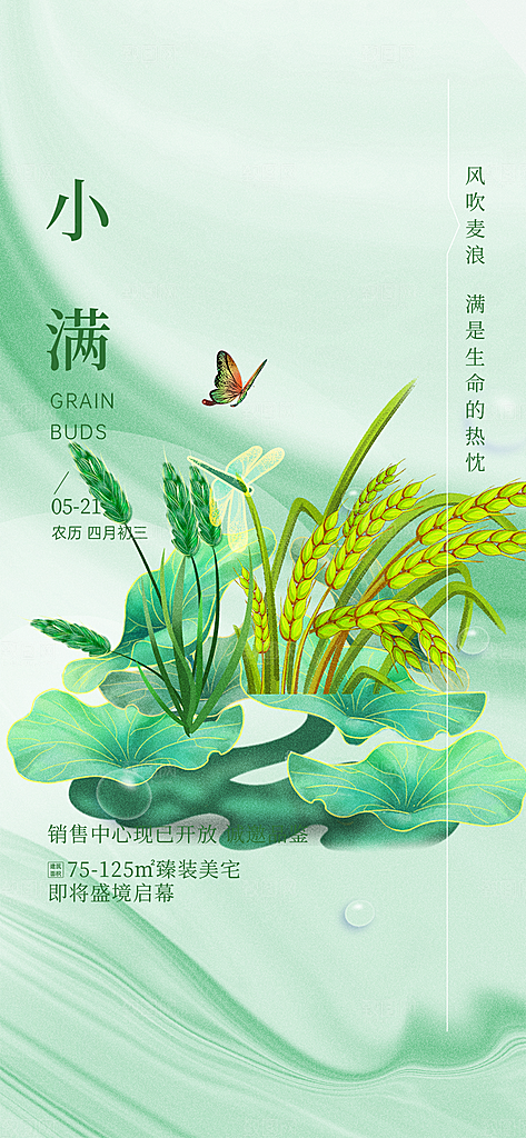 大气传统小满二十四节气海报