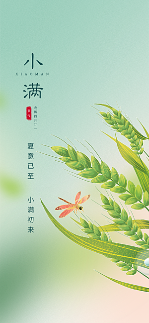 大气传统小满二十四节气海报