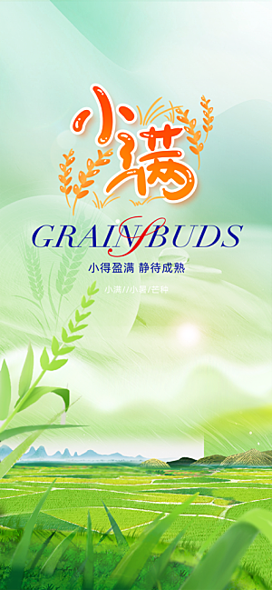 大气传统小满二十四节气海报