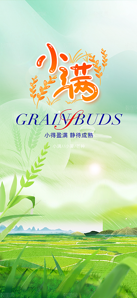 大气传统小满二十四节气海报