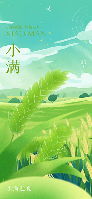 大气传统小满二十四节气海报