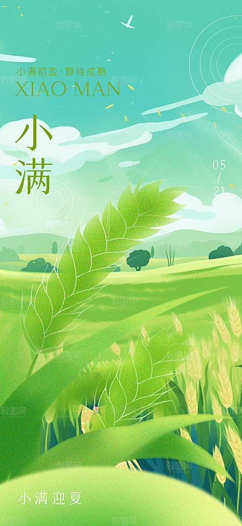 大气传统小满二十四节气海报