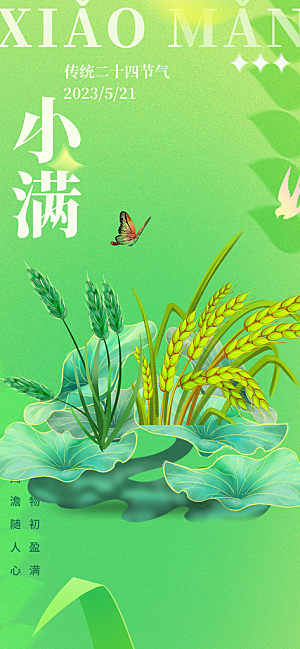 大气传统小满二十四节气海报