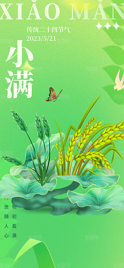 大气传统小满二十四节气海报