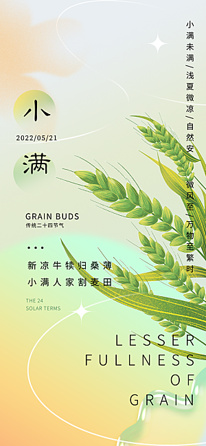 大气传统小满二十四节气海报