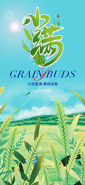 小满二十四节气海报
