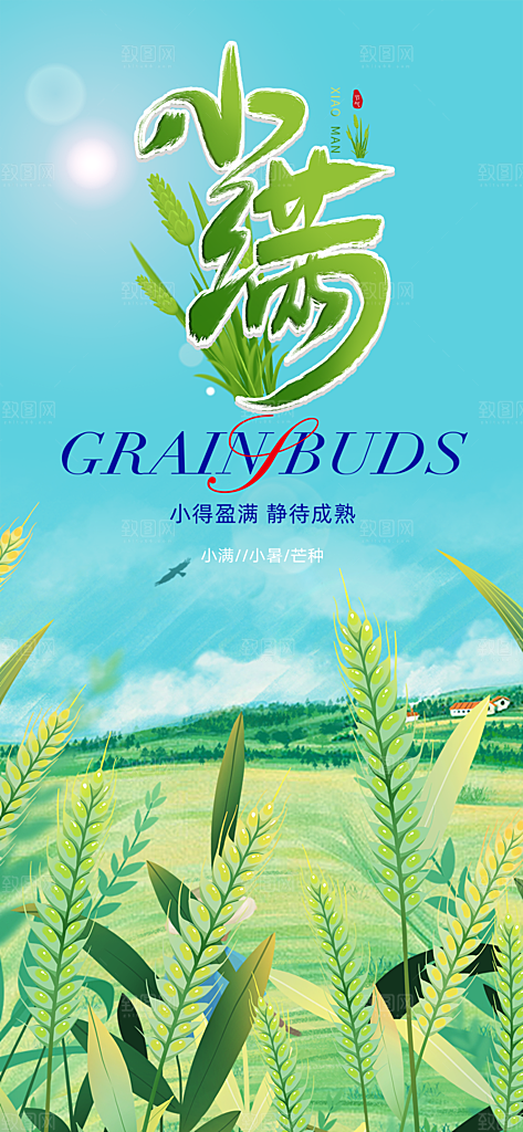 小满二十四节气海报