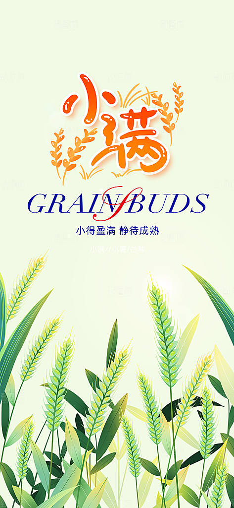 小满二十四节气海报