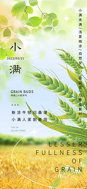 小满二十四节气海报